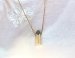 Gestolen gouden ketting met hanger